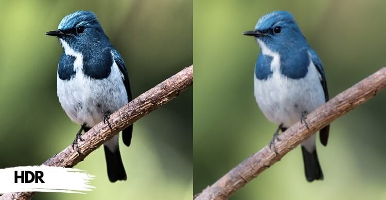 Get Professional Help for HRD Photo Editing