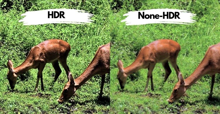 What Does The HDR Signify in Photo Editing