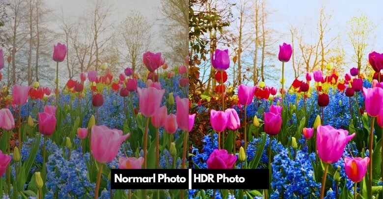 How Does the HDR Affect a Photo