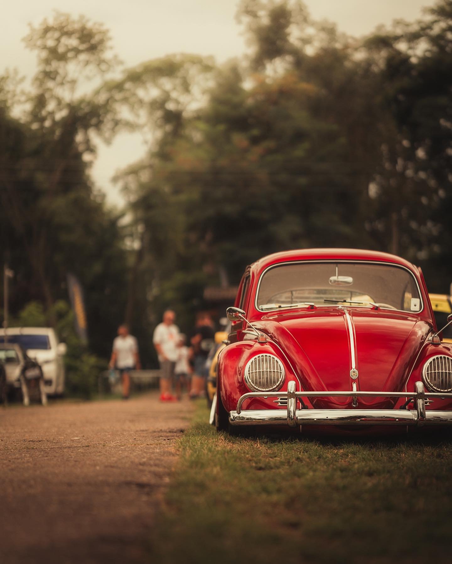 Old Is Gold Car Photography Idea