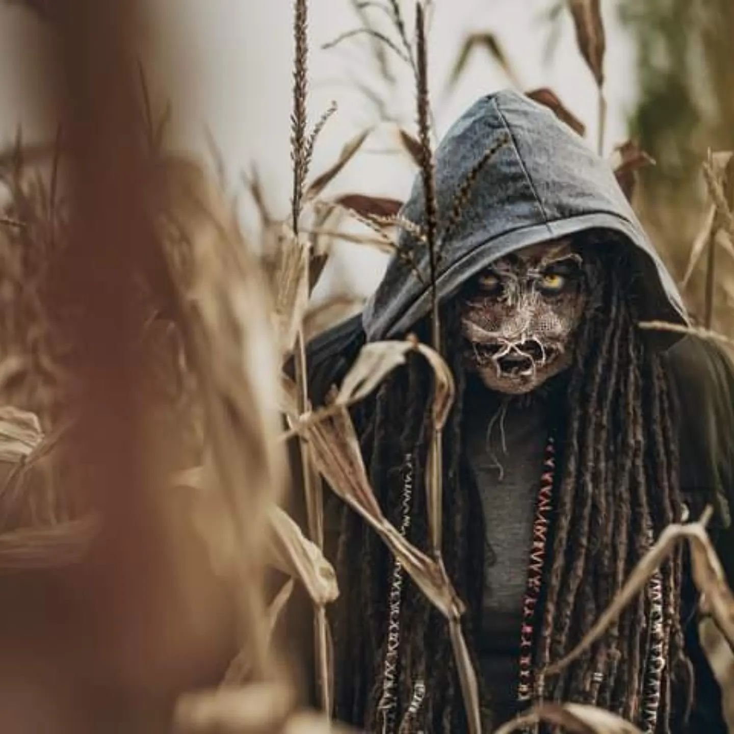 Scarecrow Appearance